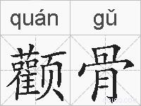 颧骨的拼音 颧骨是什么意思 颧骨的相关汉字,词语,成语诗词 颧骨的